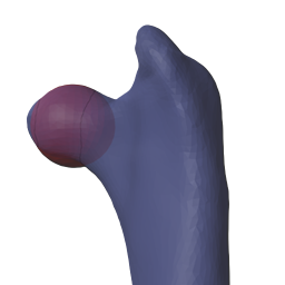 Add-on Shape Fitter