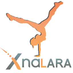 Add-on XNALara-io-Tools