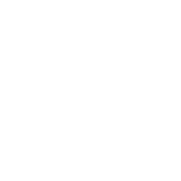Add-on RenderTune