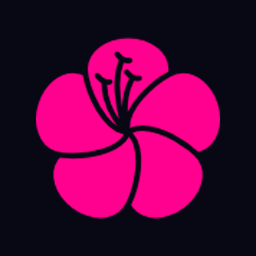 Theme Blossom Theme