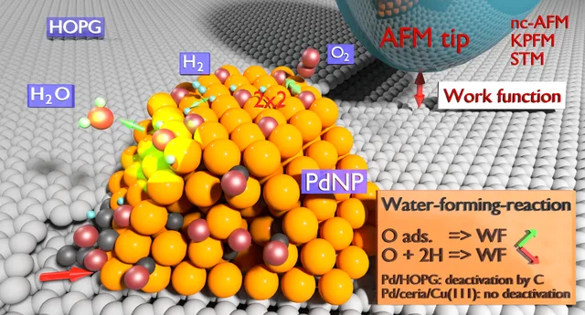 Chemical reactions at a Pd nanoparticle supported on HOPG