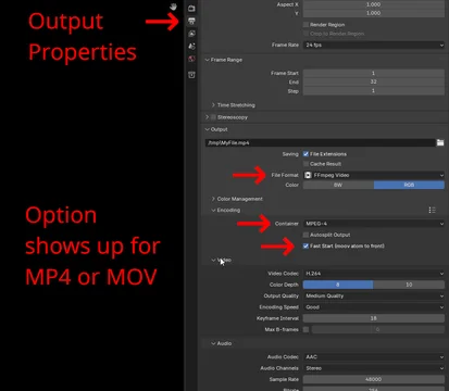 The checkbox shows up when you choose MPEG-4 (MP4) or QuickTime (MOV) output: