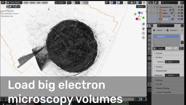 Load full EM maps with segmentations (data from Mocaer et al. 2023)