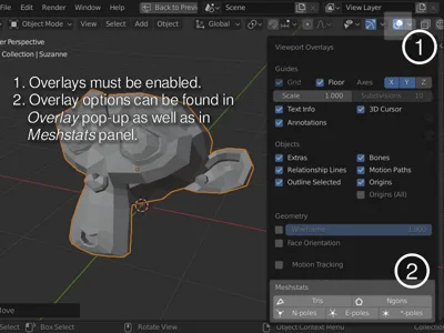 How to Display Tri & Ngon Overlays