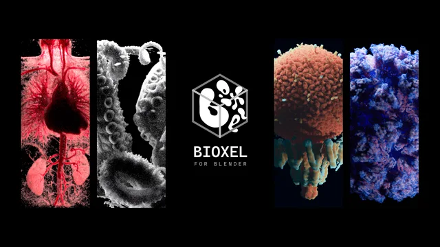 Bioxel Nodes