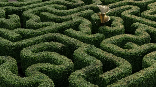 Hedge maze